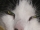will